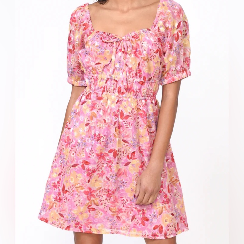 Greylin Mandela Puff Sleeve Burnout Chiffon Mini Dress